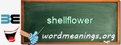 WordMeaning blackboard for shellflower